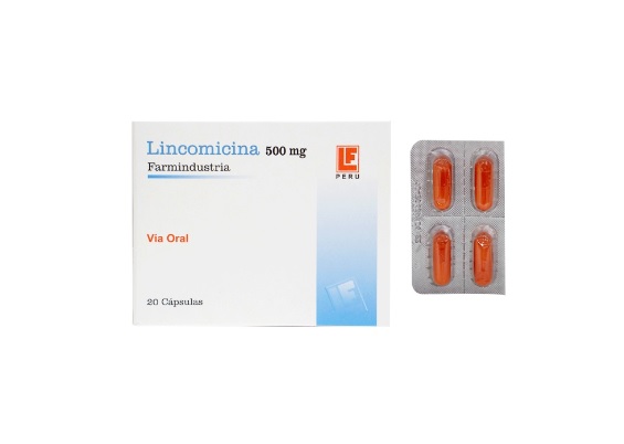 LINCOMICINA 500MG CJA x 20 CAP - FARMIND.