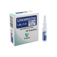 LINCOMICINA 600MG/2ML IM/IV x 10AMP - VITALIS