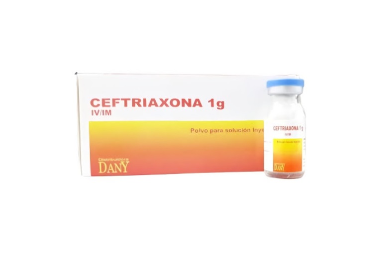 CEFTRIAXONA 1GR CJA x 10AMP - DANY